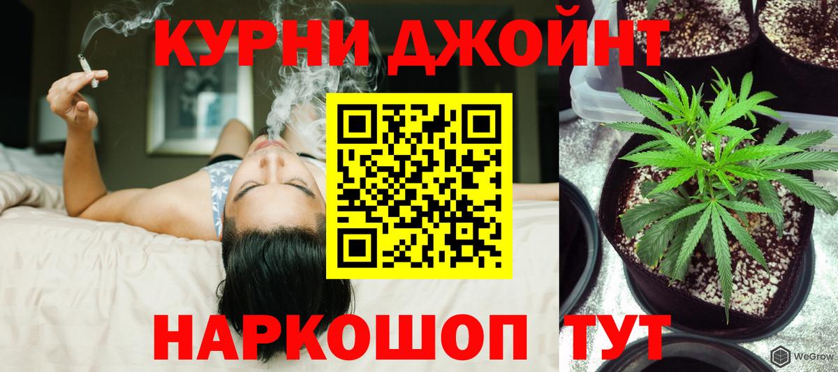 Каннабис план Людиново